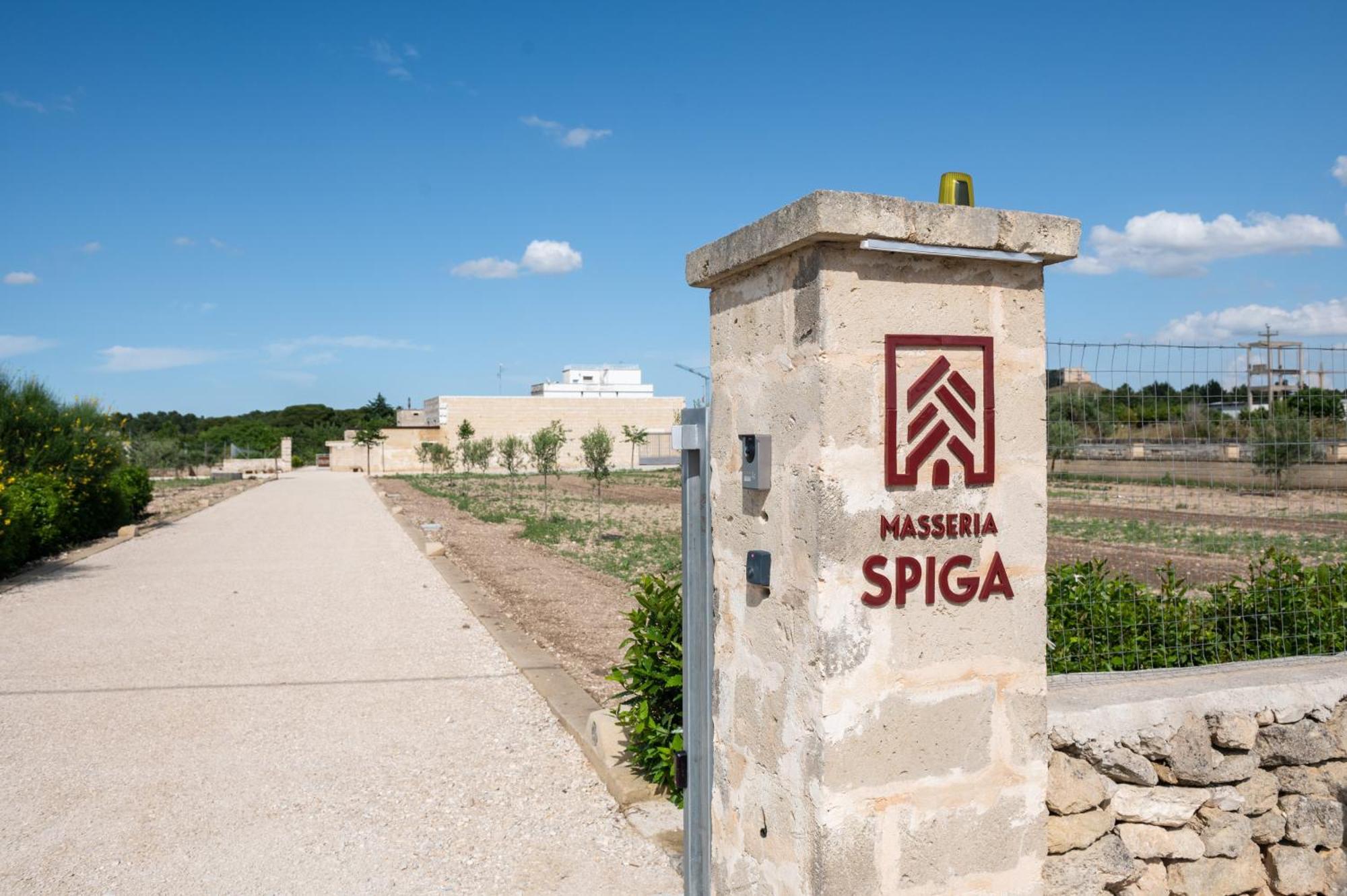 غرافينا إن بوليا Masseria Spiga المظهر الخارجي الصورة