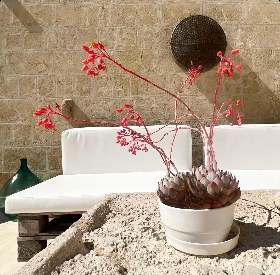 غرافينا إن بوليا Masseria Spiga المظهر الخارجي الصورة