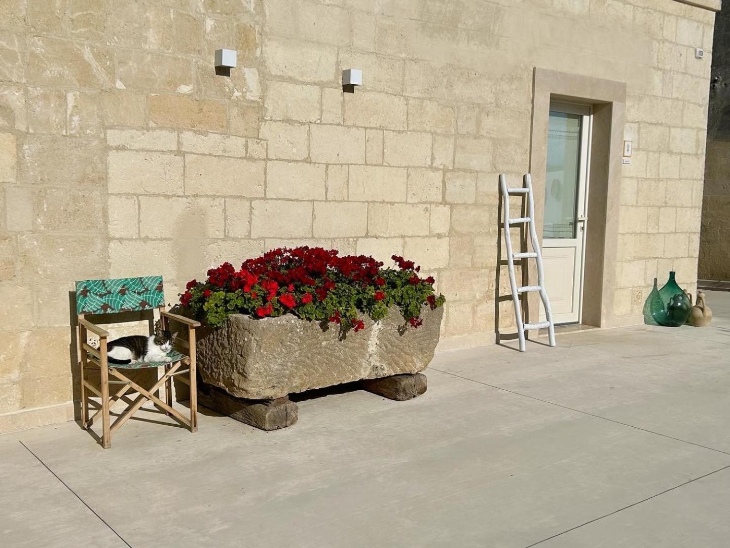 غرافينا إن بوليا Masseria Spiga المظهر الخارجي الصورة