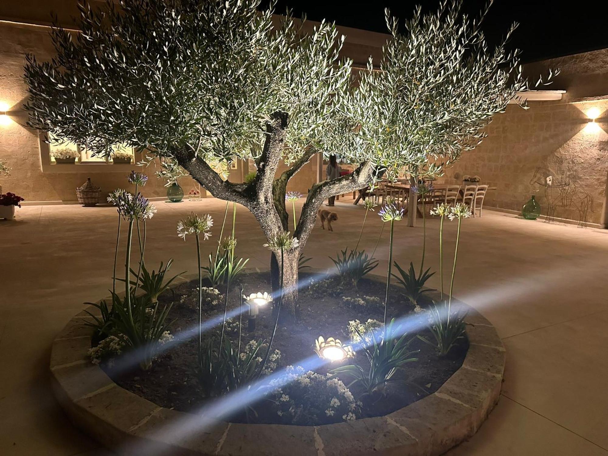 غرافينا إن بوليا Masseria Spiga المظهر الخارجي الصورة