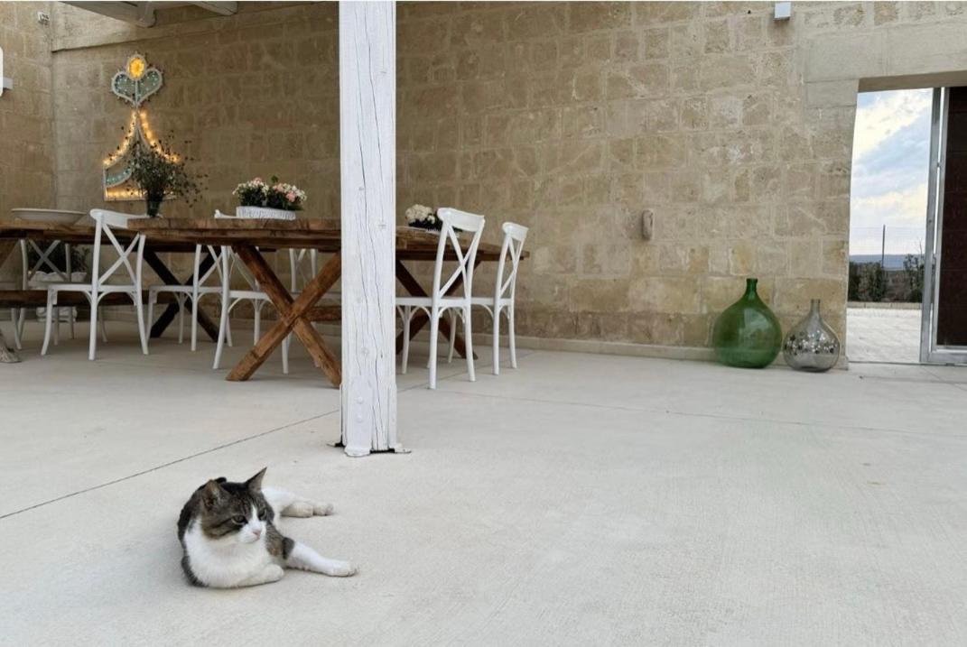 غرافينا إن بوليا Masseria Spiga المظهر الخارجي الصورة