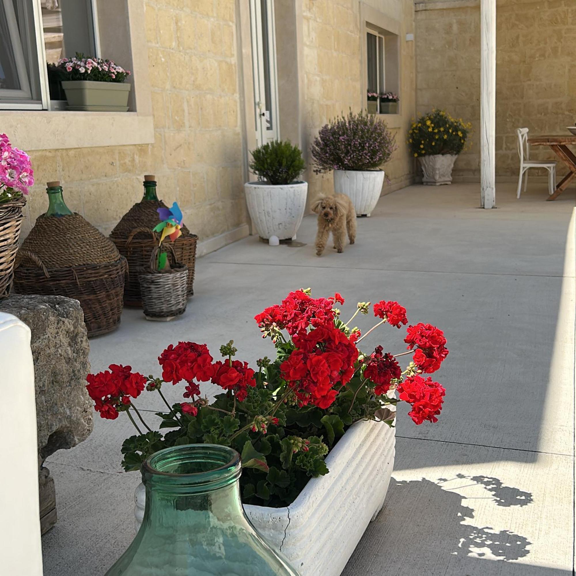 غرافينا إن بوليا Masseria Spiga المظهر الخارجي الصورة